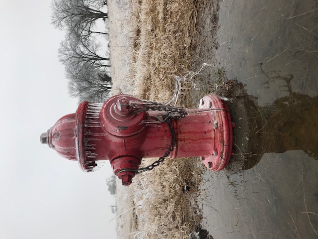 Frozen Hydrant